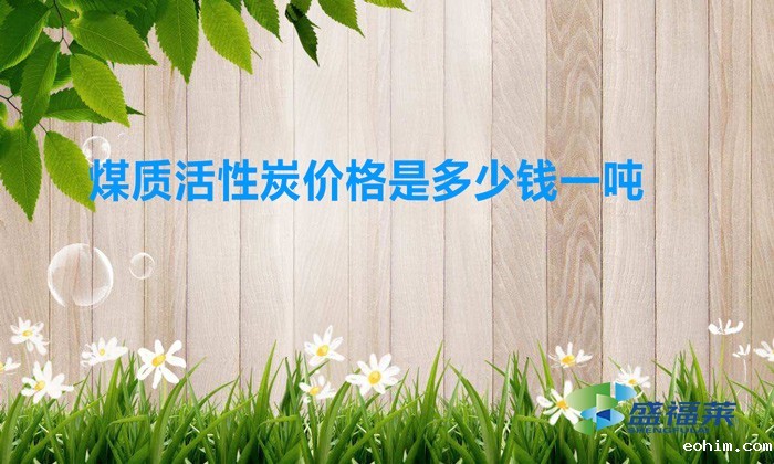 煤质活性炭价格是多少钱一吨（煤质活性炭价格行情）