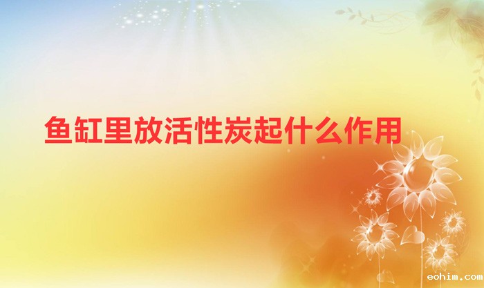 鱼缸里放活性炭起什么作用(鱼缸放活性炭的好处)