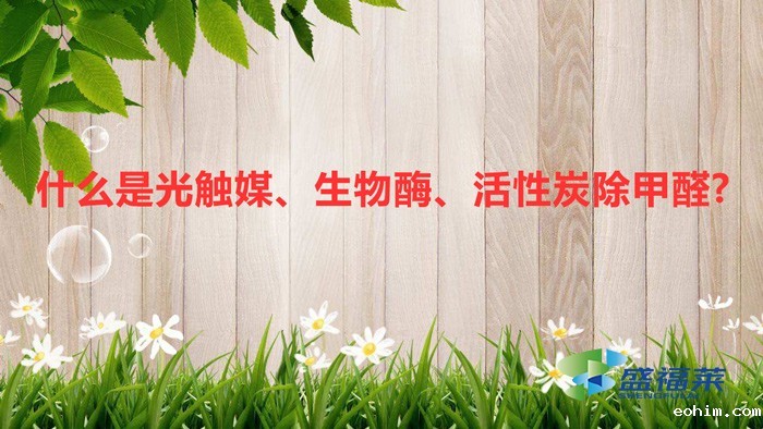 什么是光触媒、生物酶、活性炭除甲醛?