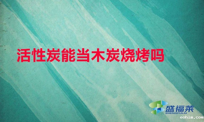 活性炭能当木炭烧烤吗(活性炭能烧烤吗)