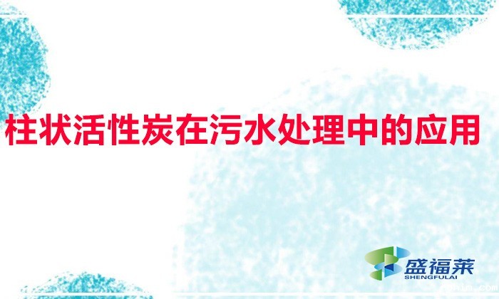 柱状活性炭在污水处理中的应用