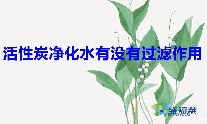 活性炭净化水有没有过滤作用（活性炭在净水行业的应用）