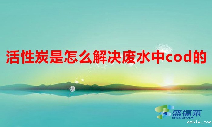 活性炭是怎么解决废水中cod的