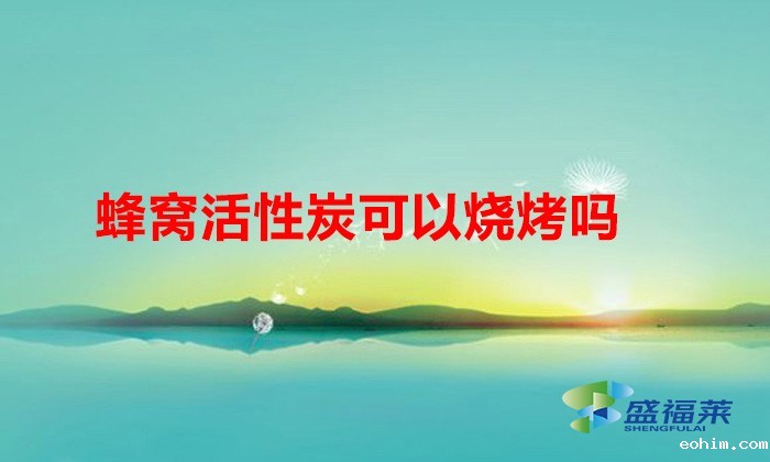 蜂窝活性炭可以烧烤吗（用蜂窝活性炭烧烤需要注意什么）
