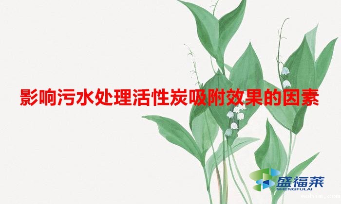 影响污水处理活性炭吸附效果的因素(水处理活性炭效果与哪些因素有关)