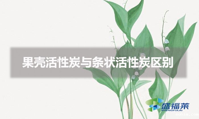 果壳活性炭与条状活性炭区别（果壳炭和条状活性炭有哪些不同）