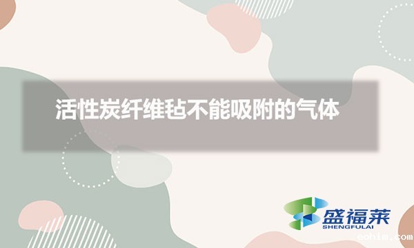 活性炭纤维毡不能吸附的气体
