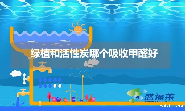 绿植和活性炭哪个吸收甲醛好