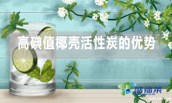 高碘值椰壳活性炭在饮用水处理中的优势以及缺点
