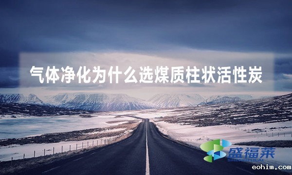 气体净化为什么选煤质柱状活性炭