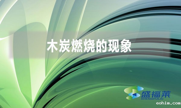 木炭燃烧的现象