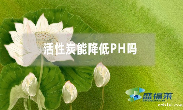 活性炭能降低PH吗？为什么？