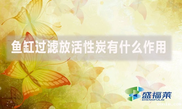 鱼缸过滤放活性炭有什么作用