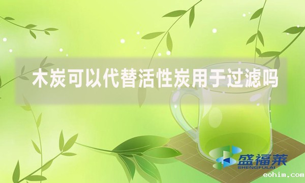 木炭可以代替活性炭用于过滤吗？