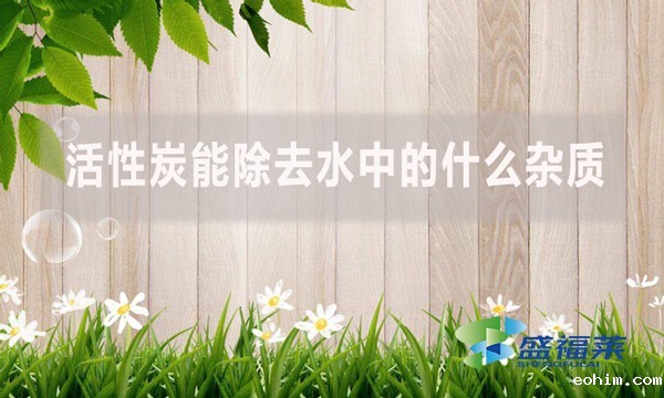 活性炭能除去水中的什么杂质？