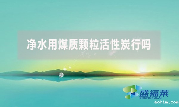 净水用煤质颗粒活性炭行吗？