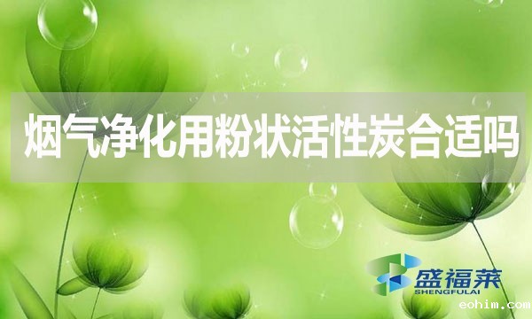 烟气净化用粉状活性炭合适吗？