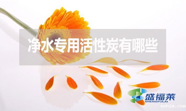 净水专用活性炭有哪些？多少钱一吨？