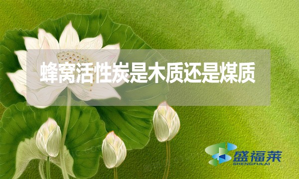 蜂窝活性炭是木质还是煤质？哪种好？