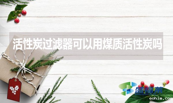 活性炭过滤器可以用煤质活性炭吗？为什么？