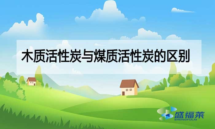 木质活性炭与煤质活性炭的区别