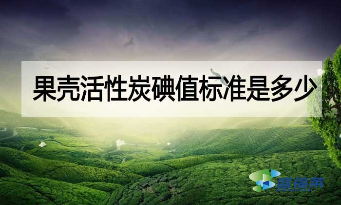 果壳活性炭碘值标准是多少？与其他活性炭相差多少？