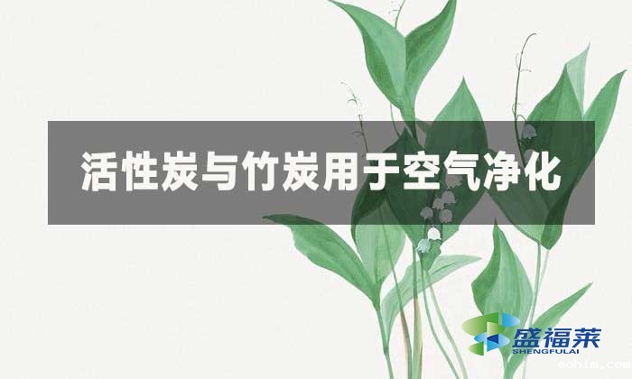 活性炭与竹炭这两种材料在净化空气方面有何不同?